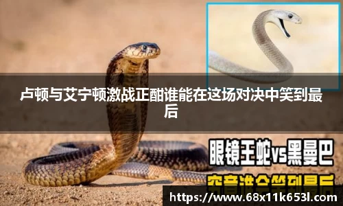谈球吧体育